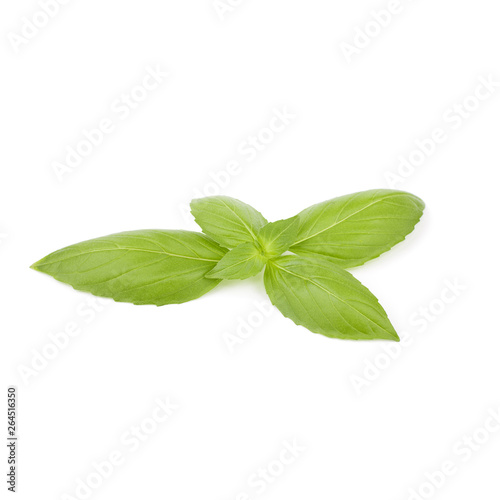 Green basil leaves isolated on white background