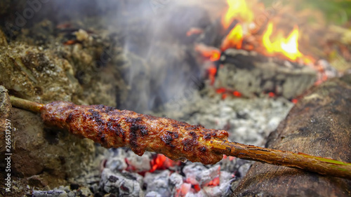 Kebab cooked over a campfire photo