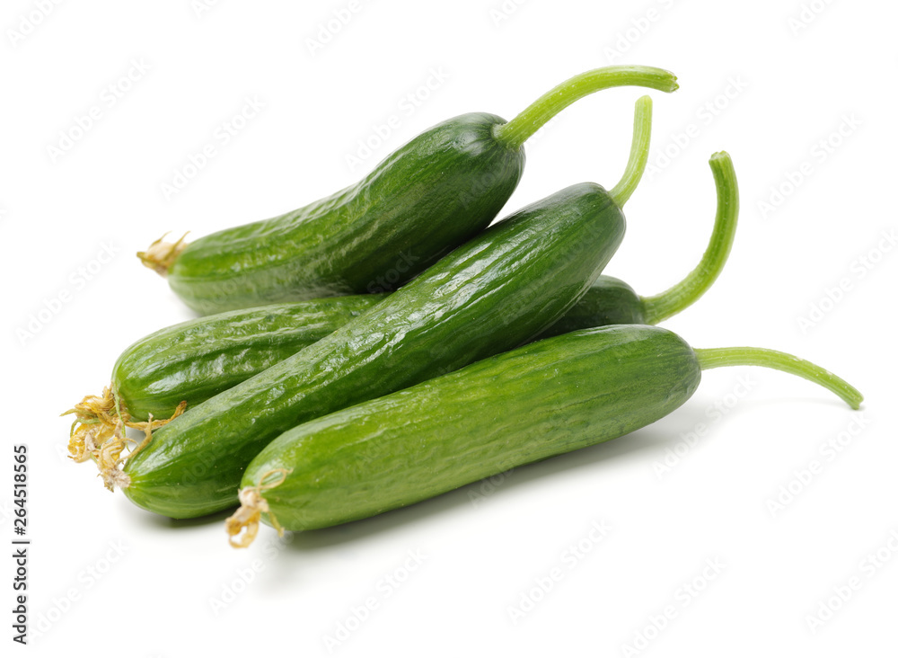 Lebanese Cucumber isolated on white background Lebanese Cucumber isolated on white background