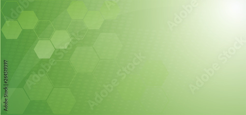 The abstract green graphic for background content.