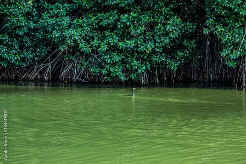 Laguna de Chacahua photo