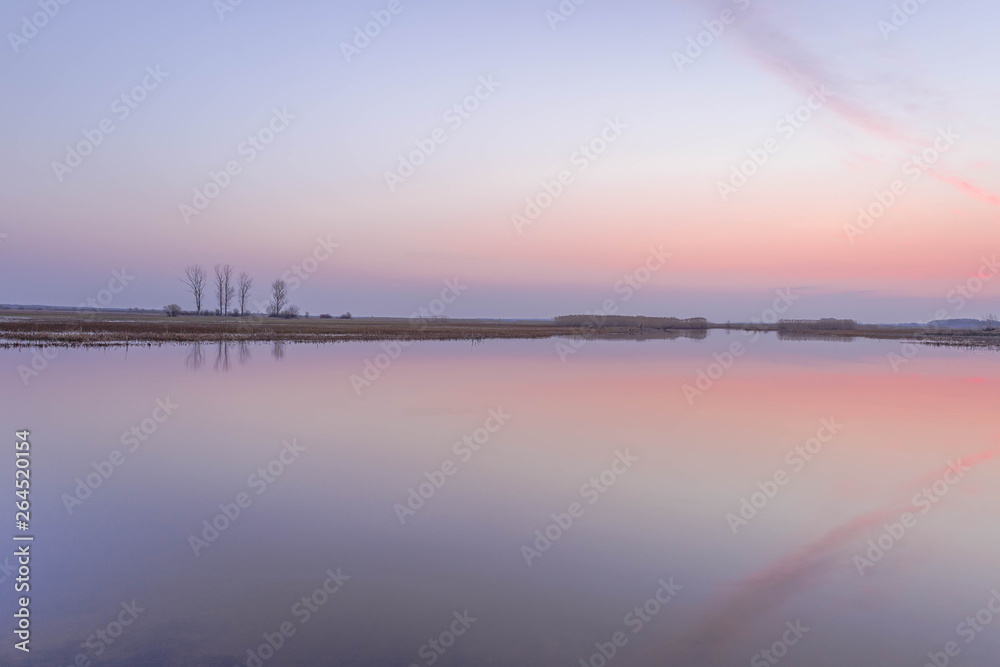 Minimalistic  water landscape with trees and reeds at dawn