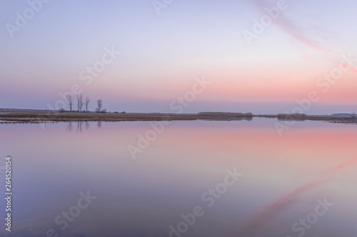Minimalistic water landscape with trees and reeds at dawn