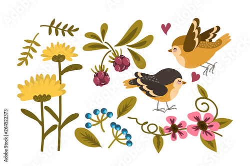 Cute bird and flower collection