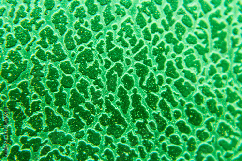 Green Texture and Background. Paper Texture. 