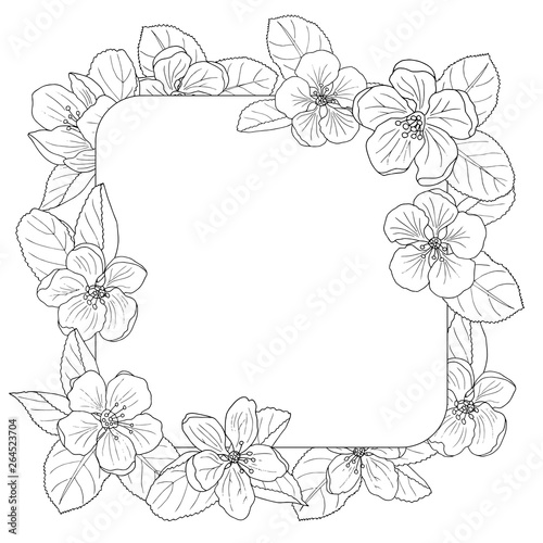 Apple blossom frame  coloring page