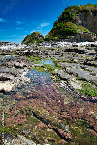 自然　奇怪岩の海岸 photo