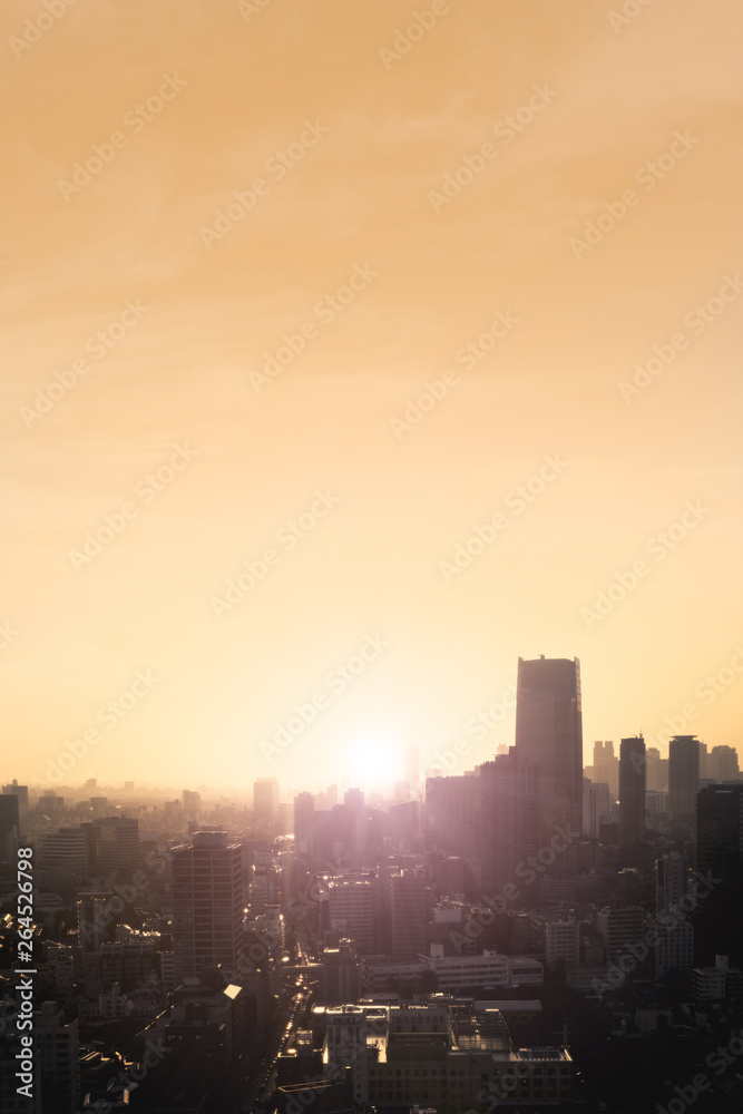 Plakat Widok z lotu ptaka na panoramę miasta o zachodzie słońca z zamgleniem, obraz pionowy z logo i znaki towarowe sklonowane.