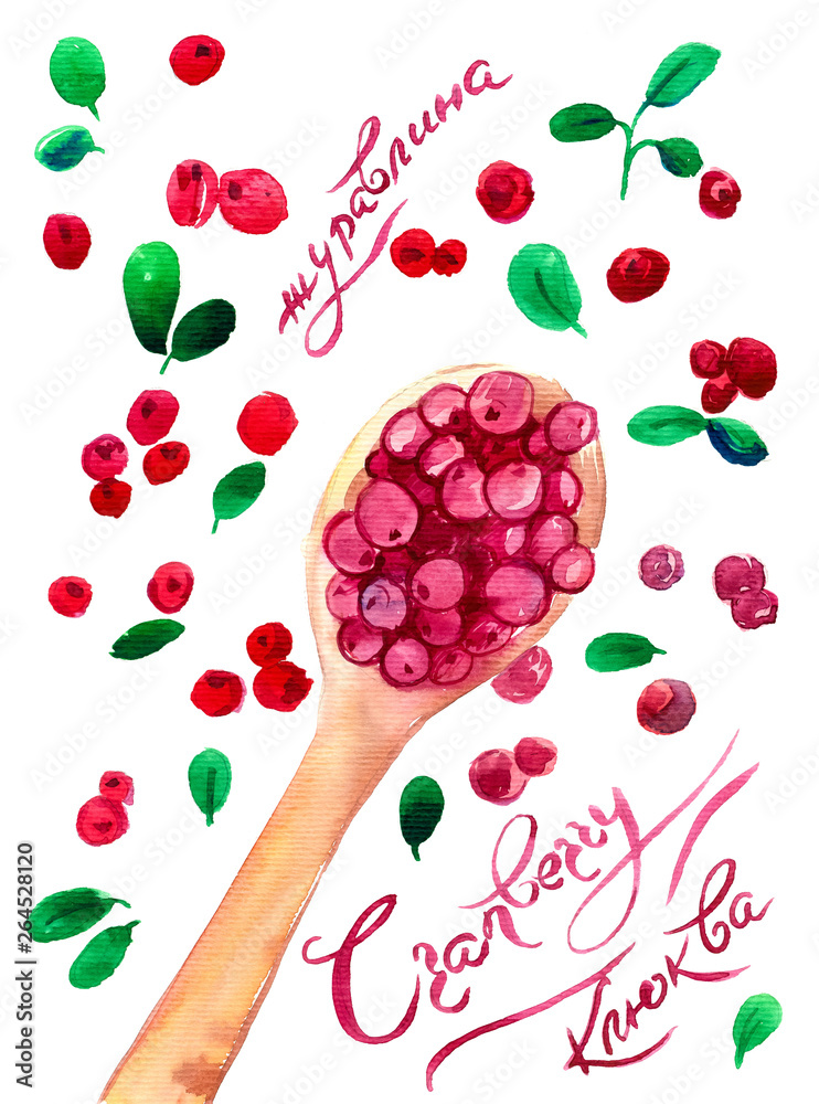 Cranberries, red cranberries in a wooden spoon, leaves and berries, name in English, Russian and Ukrainian, top view Cranberries, red cranberries in a wooden spoon, leaves and berries, name in English, Russian and Ukrainian, top view