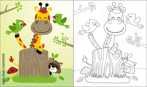 Fototapeta Naklejka Na Ścianę i Meble -  Coloring book or page with nice giraffe cartoon and friends, raccoon, birds.