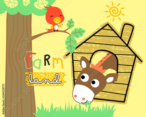 Funny farm animals cartoon