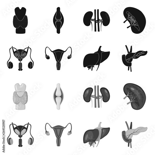 Vector illustration of biology and scientific sign. Set of biology and laboratory stock symbol for web.