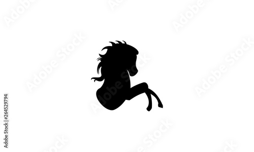the power of horse in silhouette of a girl or man on white background 