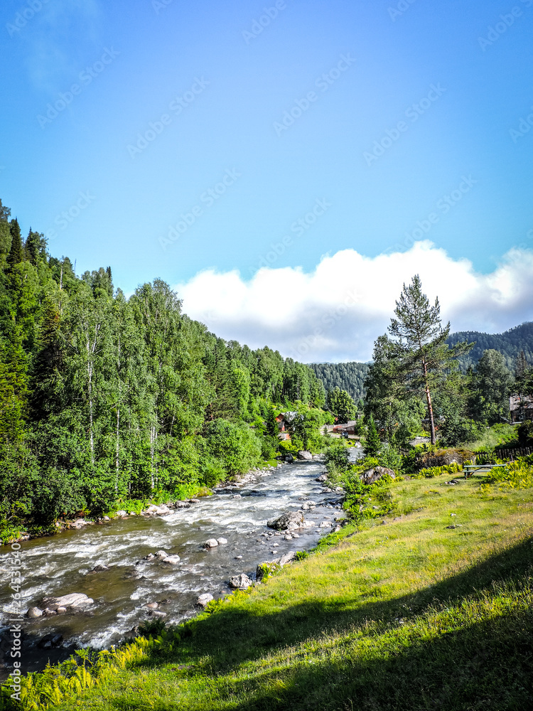 Fototapeta premium Misty River Through a Forest. Stream in the wood. Beautiful natural scenery of river in the forest. Autumn forest nature. Mountain valley. Peaceful summer nature background.Wild river rocks in autumn