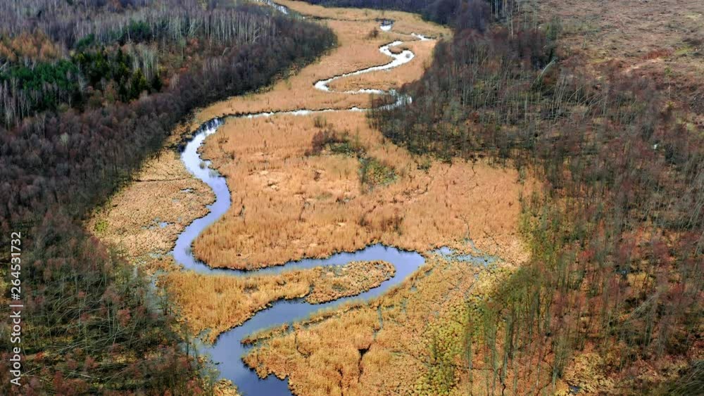 Aerial view of river in brown swamps Aerial view of river in brown swamps