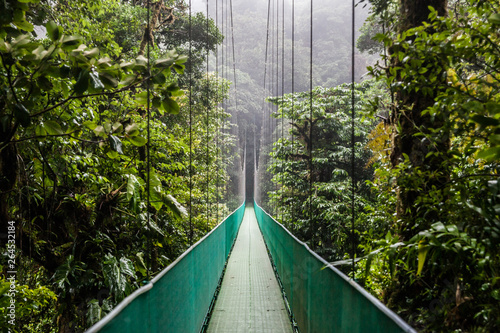 Ponte sospeso tra la foresta in un parco in Costa Rica