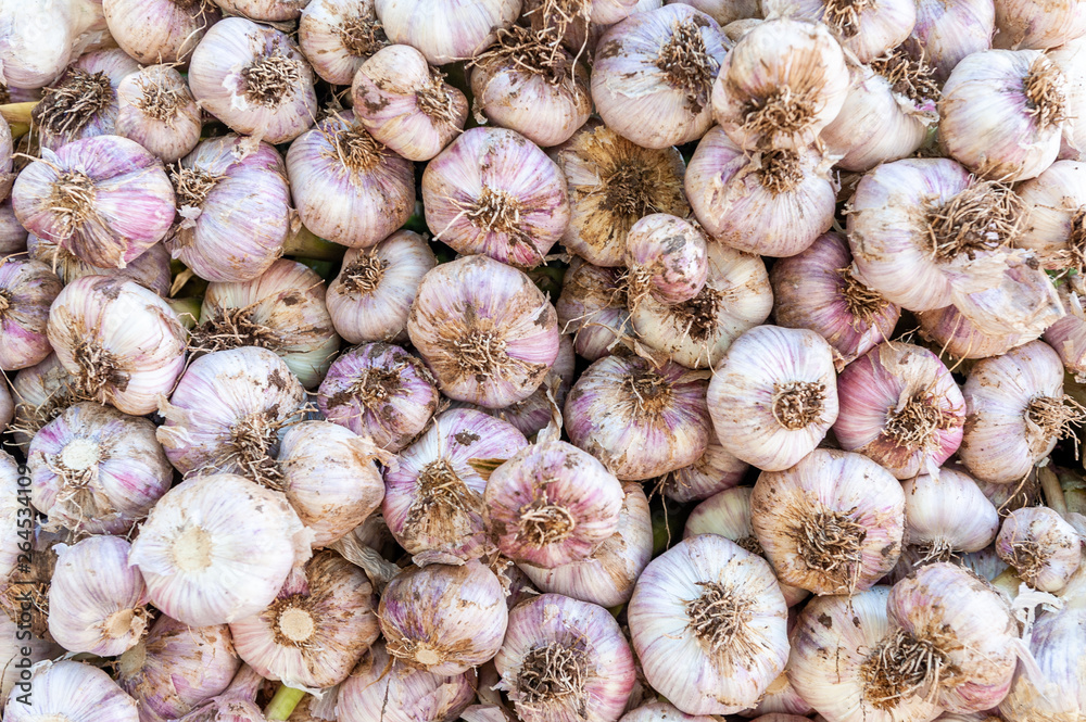 Garlic sold in Shuk Hacarmel market, Tel Aviv, Israel Garlic sold in Shuk Hacarmel market, Tel Aviv, Israel