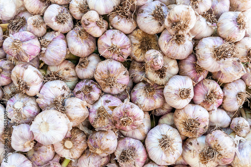 Garlic sold in Shuk Hacarmel market, Tel Aviv, Israel