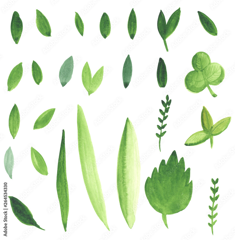 watercolor illustration of a set of simple green leaves drawn by hand. elements for design watercolor illustration of a set of simple green leaves drawn by hand. elements for design