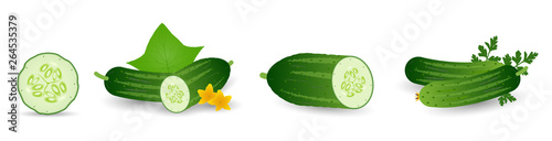 Cucumbers in cartoon style set. Whole cucumber, half, slices and cucumbers group. Fresh farm vegetables collection. Vector illustration isolated on white background.