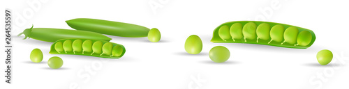 Green peas isolated on white background, set with whole and open peas in pods. Vector illustration