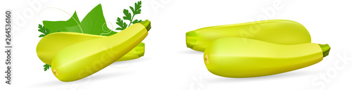 Zucchini isolated on background. Squash whole. Fresh vegetable marrow isolated. Oblong, green squash. Vegetable marrow courgette or zucchini. Harvest courgette organic ingredient. Vector illustration
