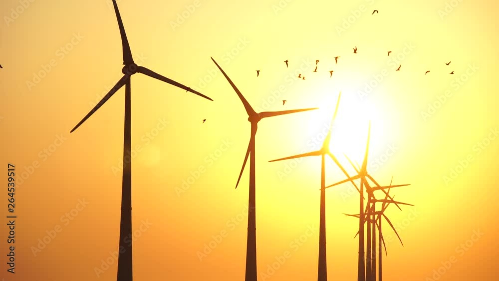 Flock of birds in front of a row of modern wind turbines generating sustainable energy during sunset. 