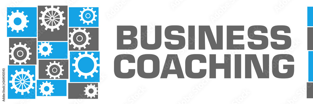 Business Coaching Blue Grey Gears Left Grid Business Coaching Blue Grey Gears Left Grid
