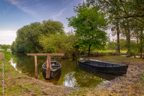 Loire-Atlantique (44), lac de grand lieu, Tréjet, Deux barques de pêheurs attachées à un poteau dans les marais de Tréjet