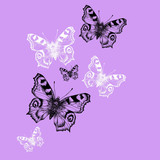 hand drawn seamless pattern with butterflies