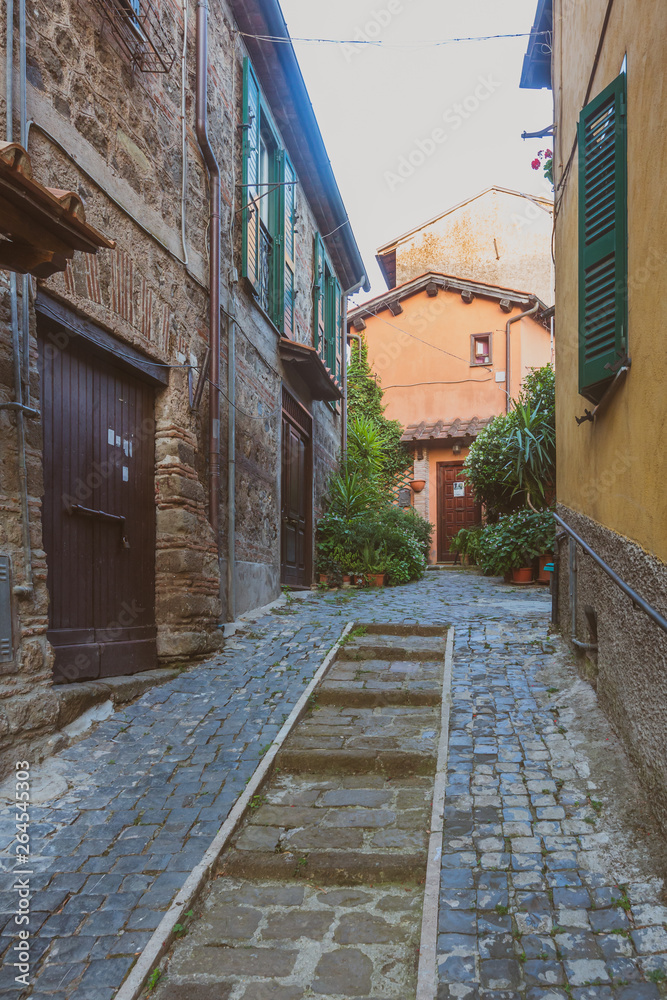 Street and architecture of the town of Nemi, Italy