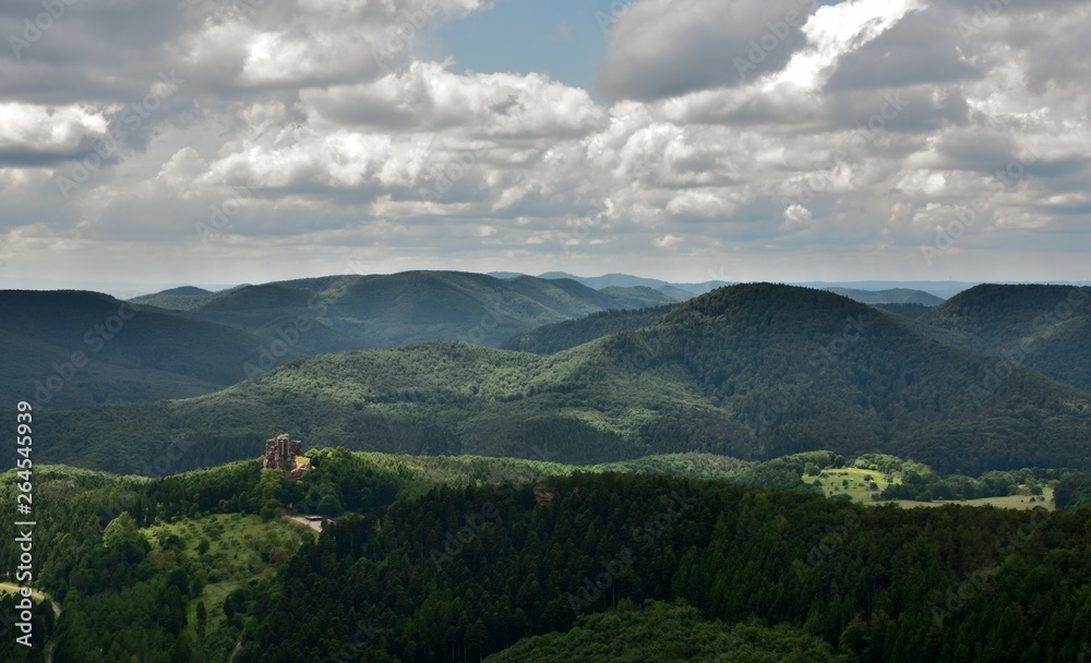Der Pfälzer Wald mit der Burgruine Fleckenstein Der Pfälzer Wald mit der Burgruine Fleckenstein