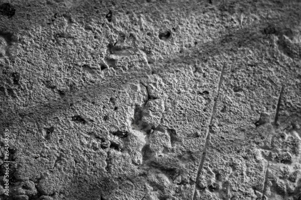 Naklejka premium Concrete Wall Texture Background. An Old Wall Texture.Texture Background. Cement Texture.