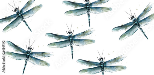 Dragon fly pattern Vector watercolor. Spring summer texture designs