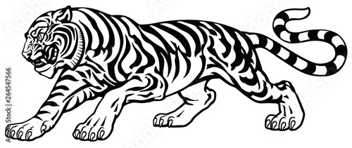 Fototapeta Naklejka Na Ścianę i Meble -  angry tiger in the aggressive attacking pose . Black and white tattoo style vector illustration 