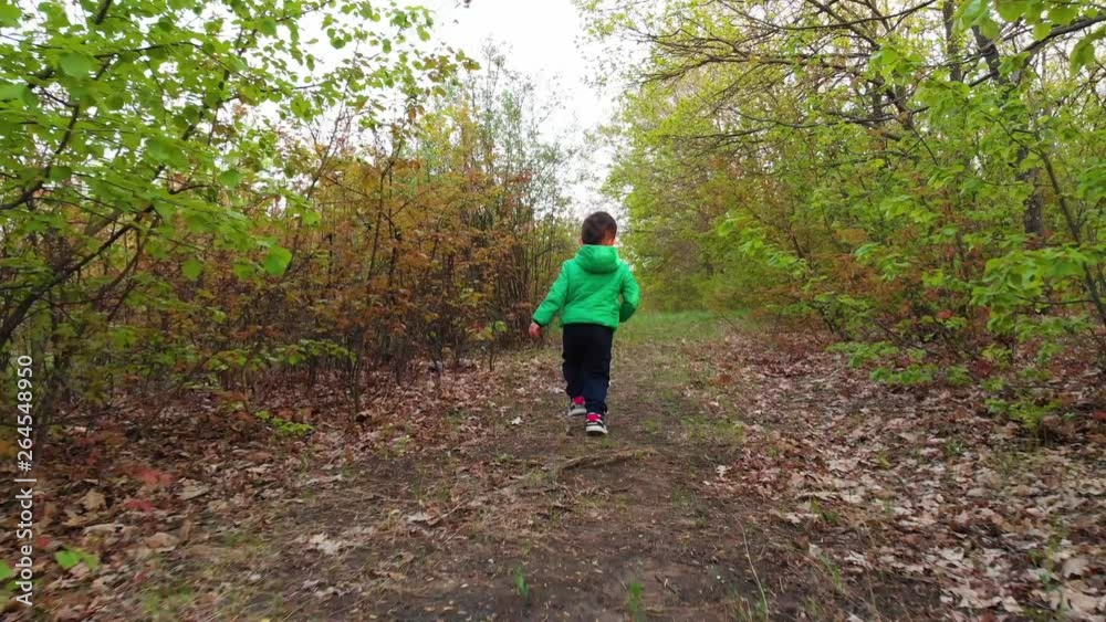 Follow child in woods Follow child in woods