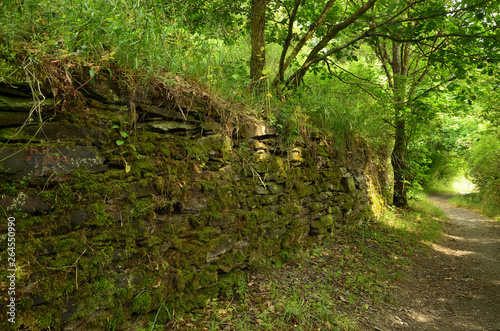 Eine alte Trockenmauer an einem Waldweg