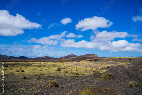 Spain, Lanzarote, Green vegetation and plants covering arid volcanic nature landscape