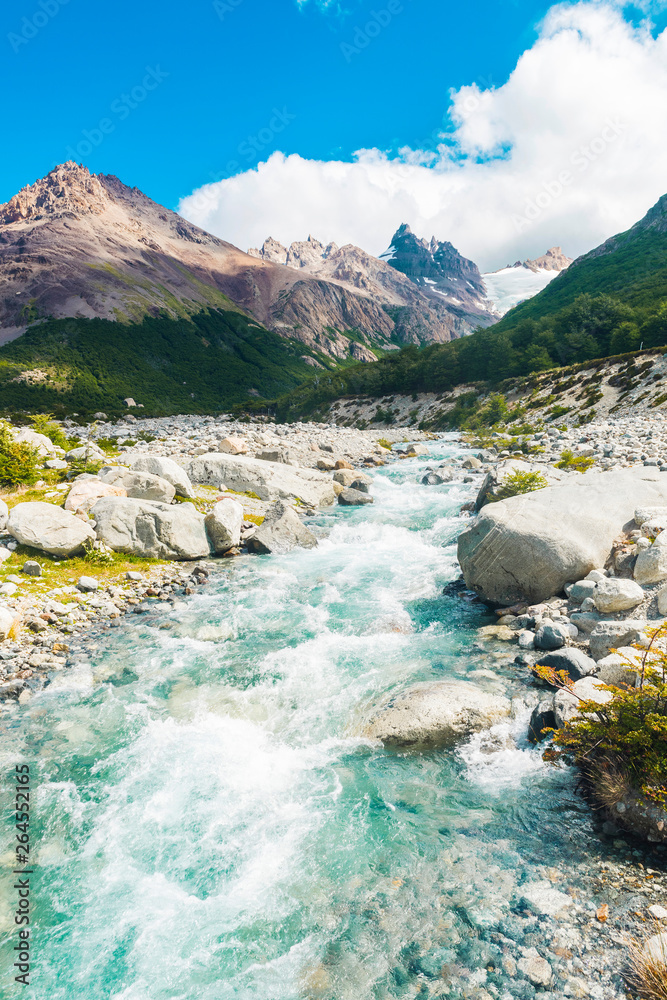 Mountain brook in the national park Los Glaciares - obrazy, fototapety, plakaty 