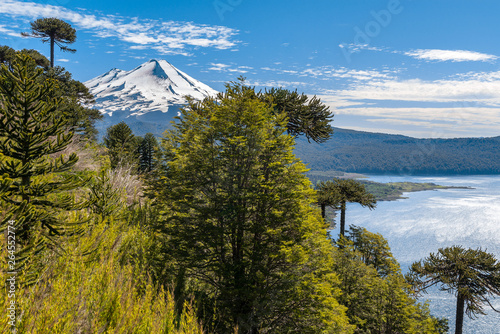 Panoramic view of Conguillio National Park, Chile photo