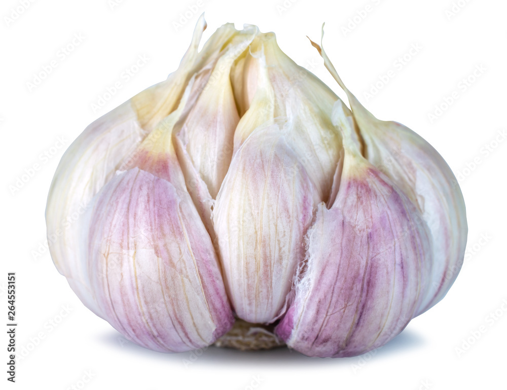 Obraz premium Fresh garlic head isolated on a white background with clipping path