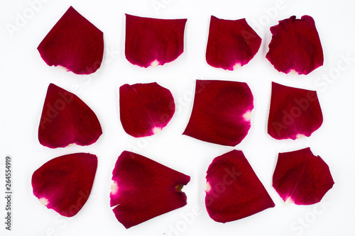 Group of Red Rose Petals on White Background.