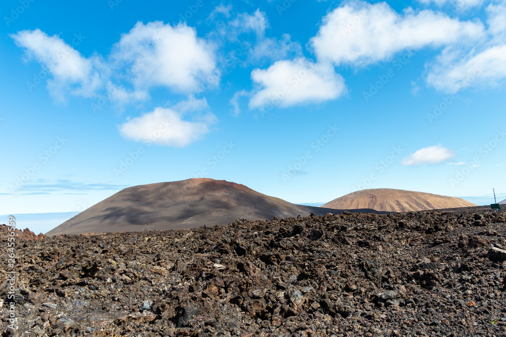 A view of a beach of Lanzarote, Canary Islands, Spain.