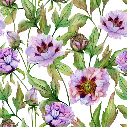 Beautiful Chinese peony with green leaves on white background. Seamless flora...