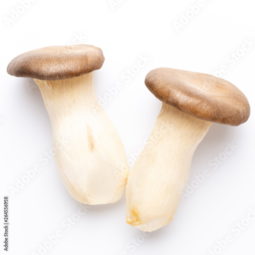 King oyster mushroom on white background.