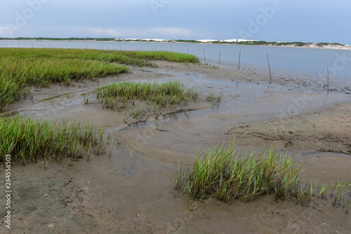 Beach of the island in front of Atins  Brazil