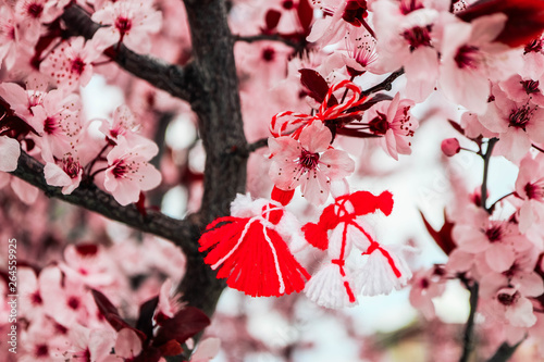 Bulgarian traditional spring decor martenitsa on the cherry blossom tree background. Baba Marta holiday.
