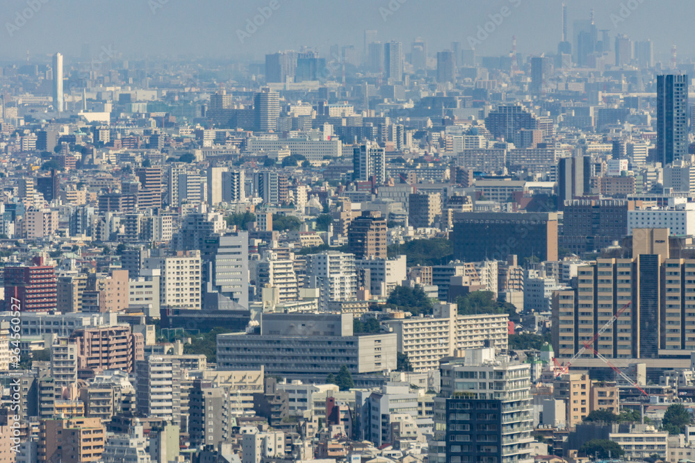 Panoramic aerial view on ultramodern busy capital city from a high skyscraper. Breathtaking cityscape seen on a summer day in Roppongi, Minato-ku district, Tokyo, Japan, Asia