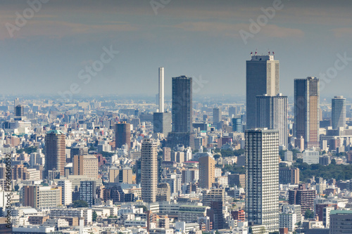 Panoramic aerial view on ultramodern busy capital city from a high skyscraper. Breathtaking cityscape seen on a summer day in Roppongi, Minato-ku district, Tokyo, Japan, Asia © Marina