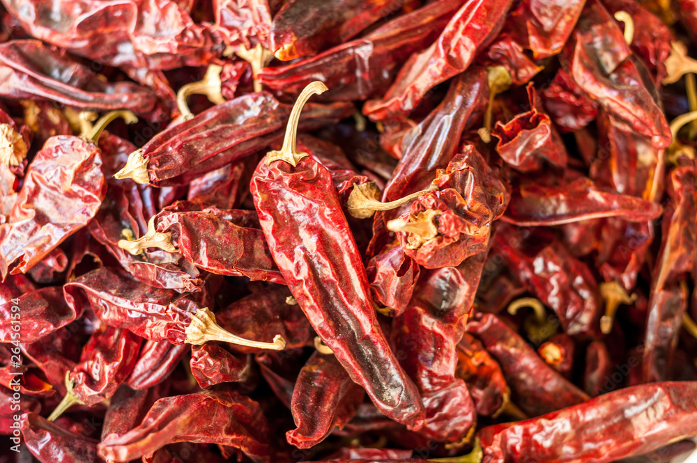 Israel, Tel Aviv-Yafo, peppers at shuk Levinsky market Israel, Tel Aviv-Yafo, peppers at shuk Levinsky market